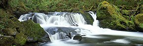 water flowing, golitha falls 