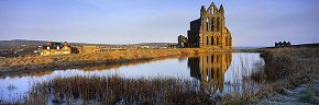 reflections at whitby abbey