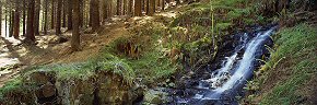 secluded fall, glenashdale woods, arran 