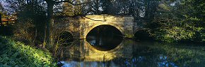 golden bridge at nunnington - ym0220