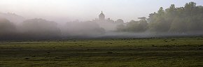 morning mist at castle howard - ym0223