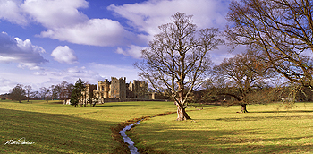 raby castle card