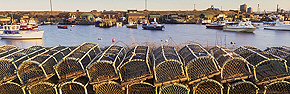 lobster pots at paddy's hole