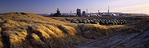 steelworks and dunes, south gare